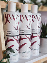 Micellar Cleansing Water