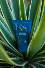 Sunscreen In Foundation Cream